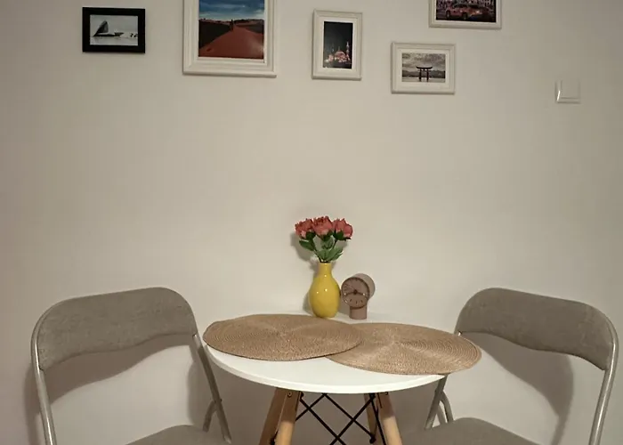 Traveler's Nest Апартаменты Брашов